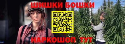 ешки Бийск